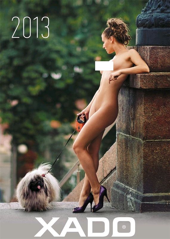 Календарь на 2013 год от XADO