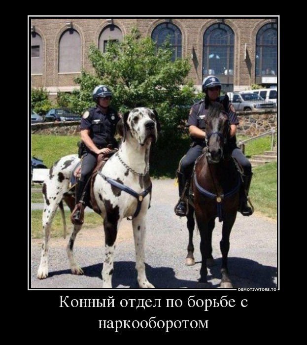 Конный отдел по борьбе с наркооборотом