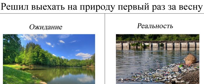 Порция отличного настроения в подборке прикольных фотоснимков