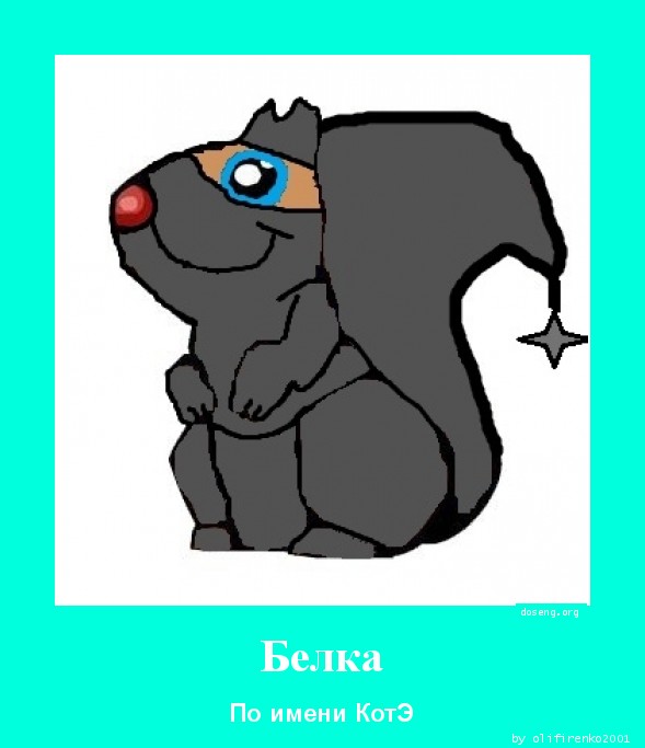 Белка
