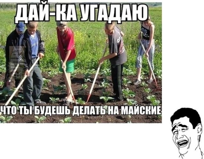 Утренняя подборка клевых фотоприколов