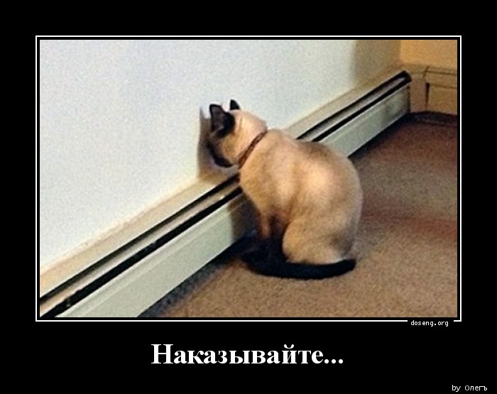Наказывайте...