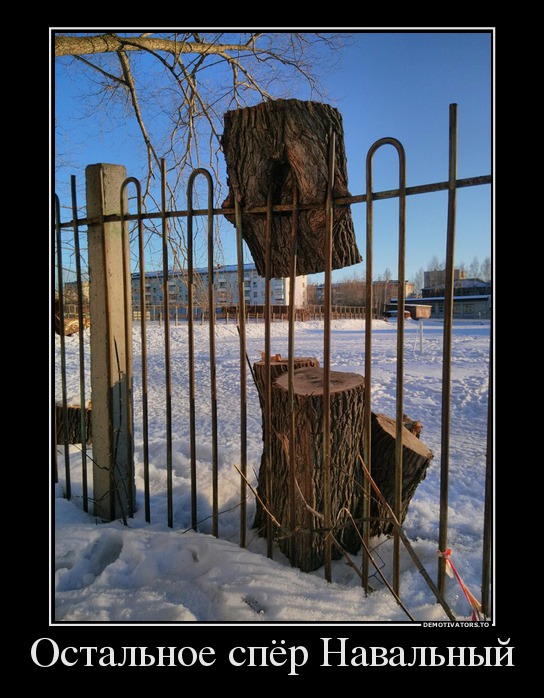 Остальное спёр Навальный