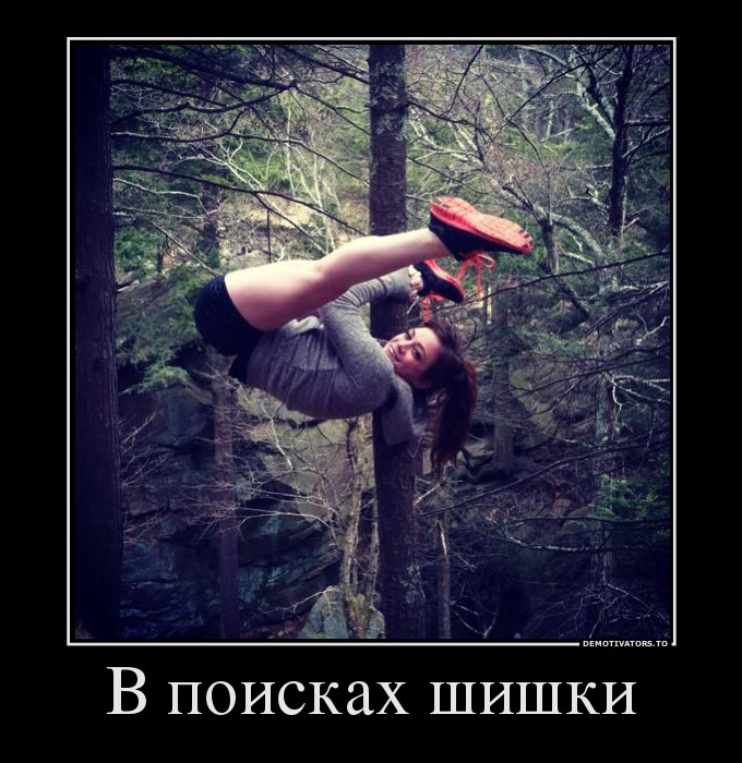 В поисках шишки