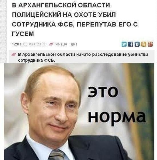 Утренняя коллекция прикольных, позитивных и забавных фото