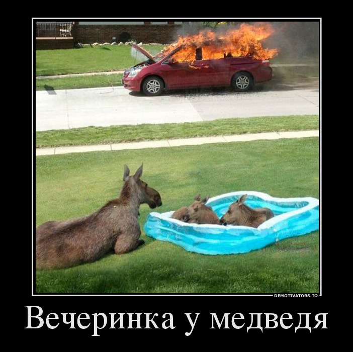 Вечеринка у медведя
