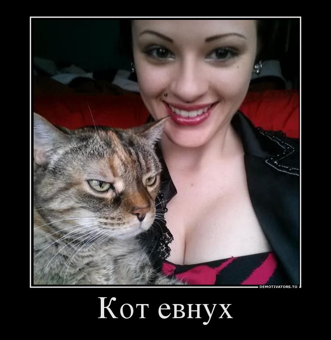 Кот евнух