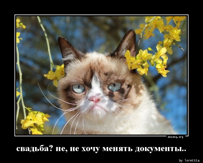 свадьба? не, не хочу менять документы..