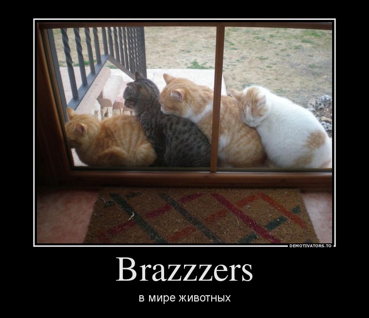 Brazzzers