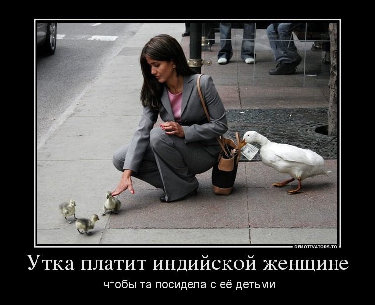 Утка платит индийской женщине