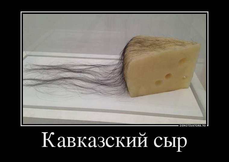 Кавказский сыр