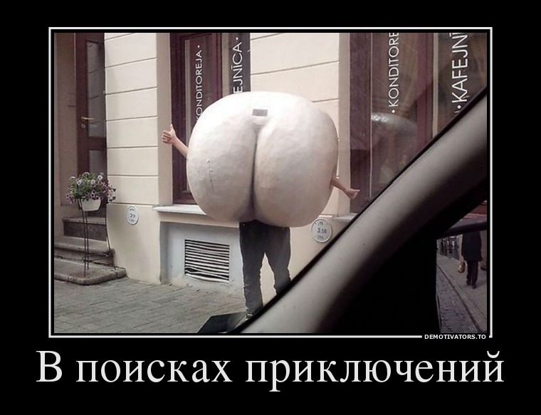 В поисках приключений