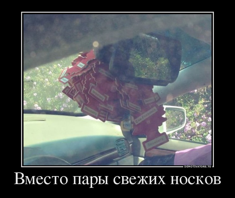 Вместо пары свежих носков