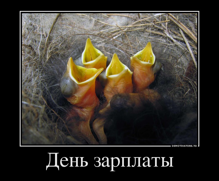 День зарплаты