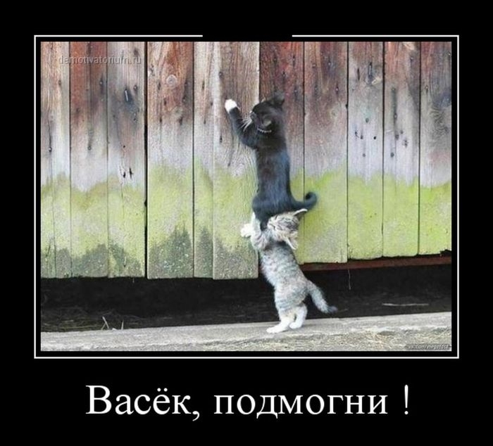 Сборник прикольных демотивационных картинок