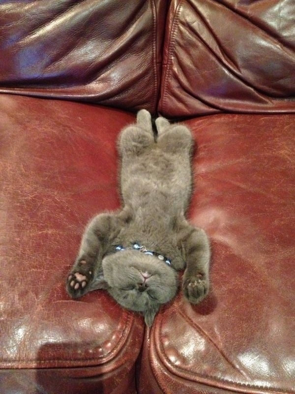 Спим )