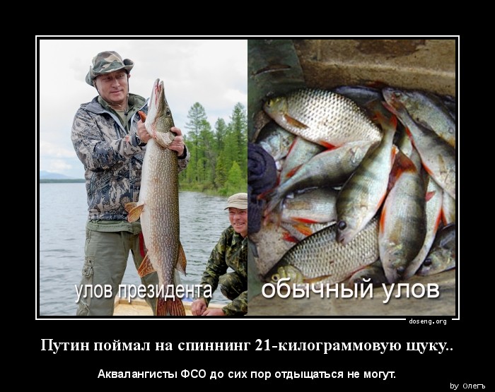 Путин поймал на спиннинг 21-килограммовую щуку..