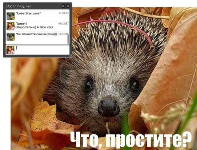 Классная подборка замечательных фотоприколов