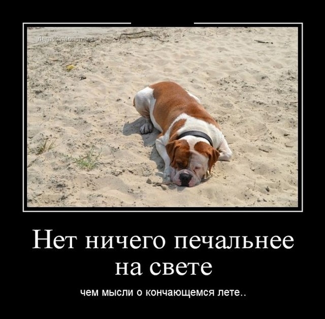 Крутые демотивационные картинки на актуальные темы