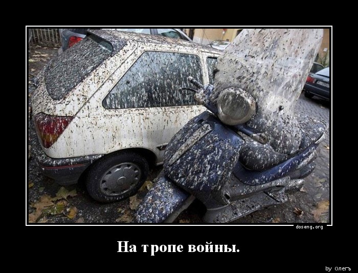 На тропе войны.