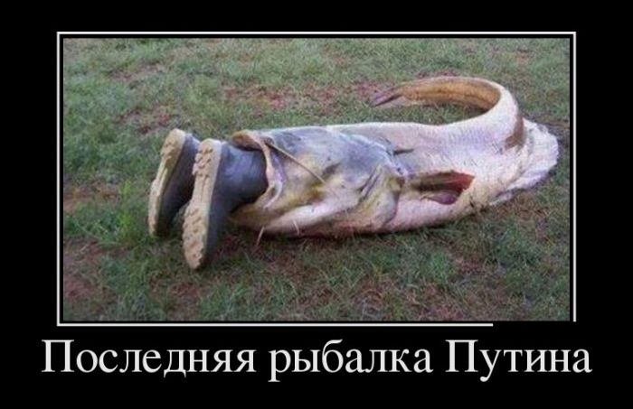 Подборка прикольных демотиваторов