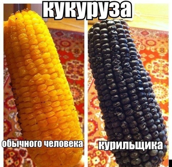Подборка фотоприколов