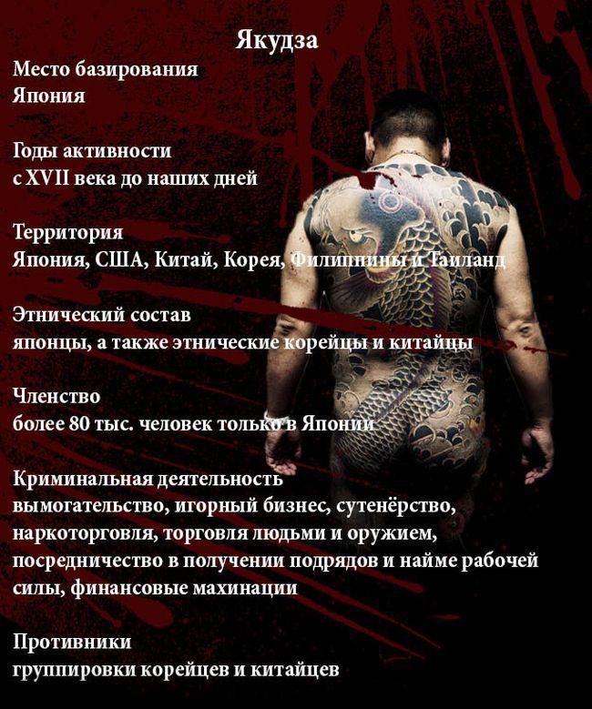 Факты о Якудзе (11 фото)