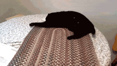 Прикольные гифки