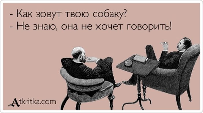 Прикольные "аткрытки"