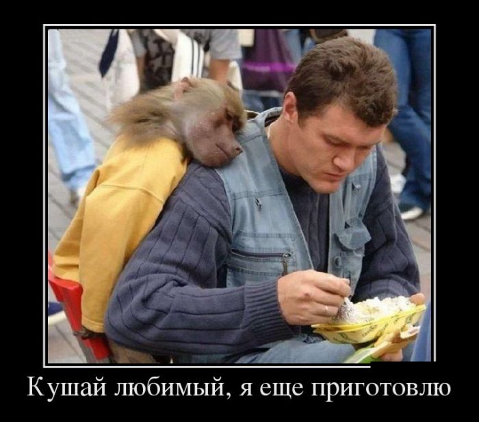 ПОДБОРКА ПРИКОЛЬНЫХ ДЕМОТИВАТОРОВ
