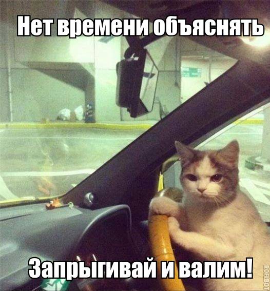 ПОДБОРКА ФОТОПРИКОЛОВ