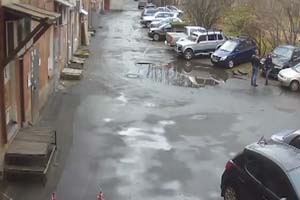 Королева парковки