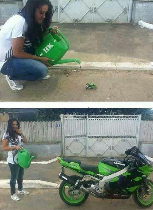 ПОДБОРКА ФОТОПРИКОЛОВ