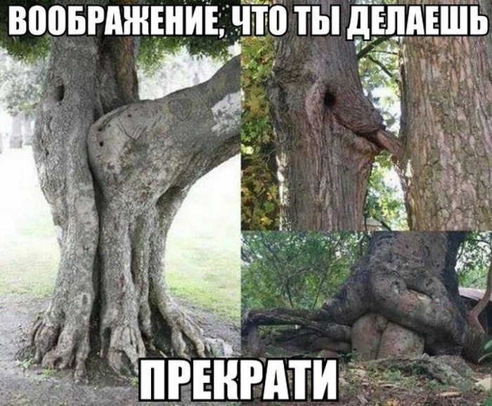 ПОДБОРКА ФОТОПРИКОЛОВ