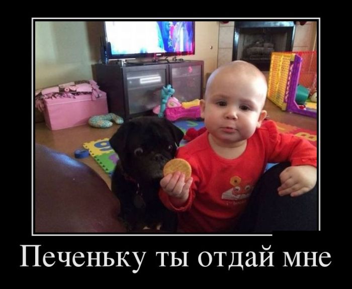ПОДБОРКА ПРИКОЛЬНЫХ ДЕМОТИВАТОРОВ