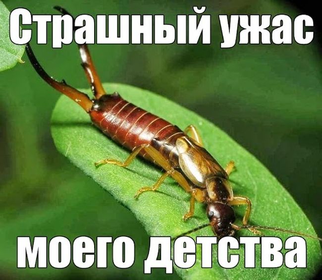 ПОДБОРКА ФОТОПРИКОЛОВ