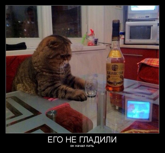 ПОДБОРКА ПРИКОЛЬНЫХ ДЕМОТИВАТОРОВ