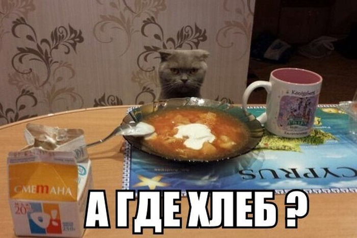 ПОДБОРКА ФОТОПРИКОЛОВ