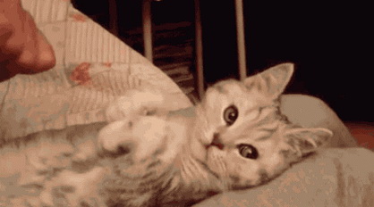 Прикольные гифки