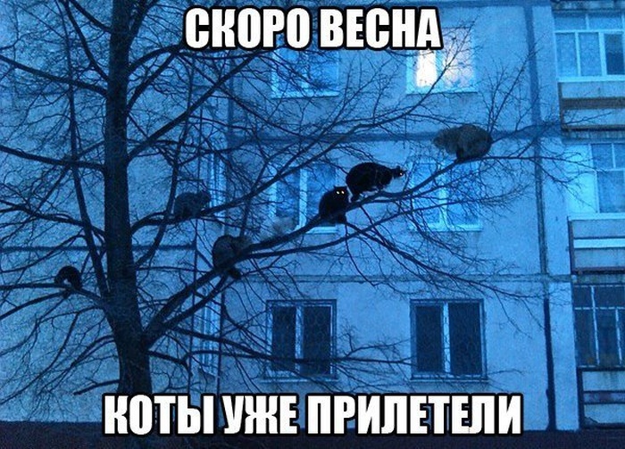 ПОДБОРКА ФОТОПРИКОЛОВ