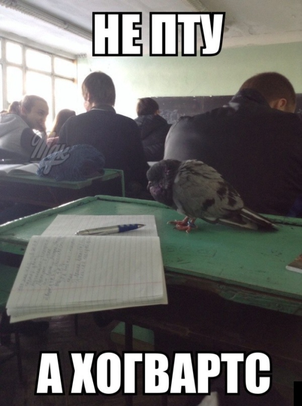 ПОДБОРКА ФОТОПРИКОЛОВ