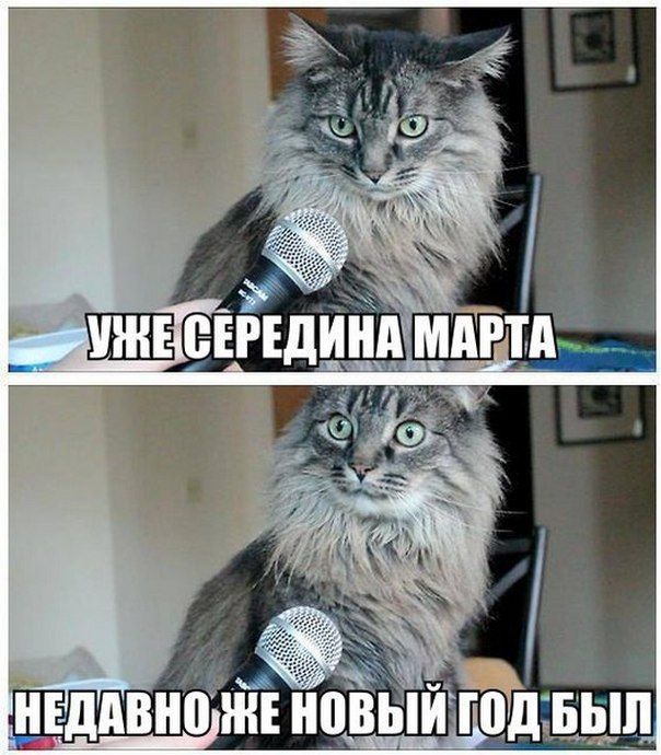 ПОДБОРКА ФОТОПРИКОЛОВ