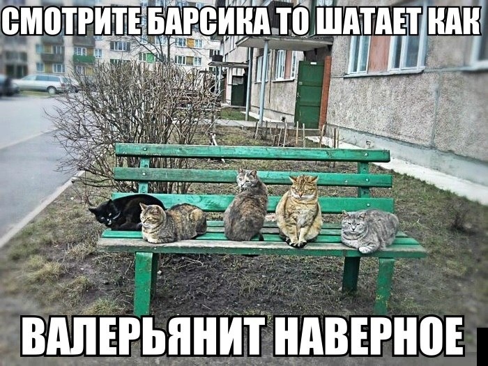 ПОДБОРКА ФОТОПРИКОЛОВ