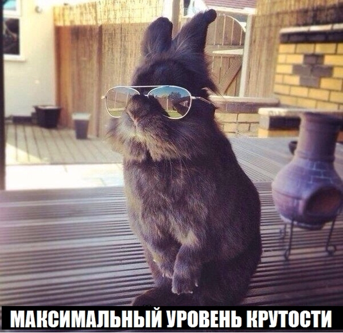 ПОДБОРКА ФОТОПРИКОЛОВ