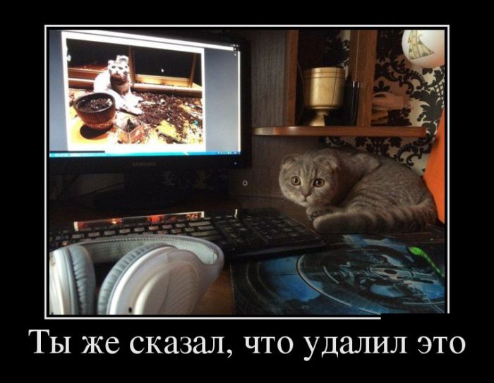 ПОДБОРКА ПРИКОЛЬНЫХ ДЕМОТИВАТОРОВ