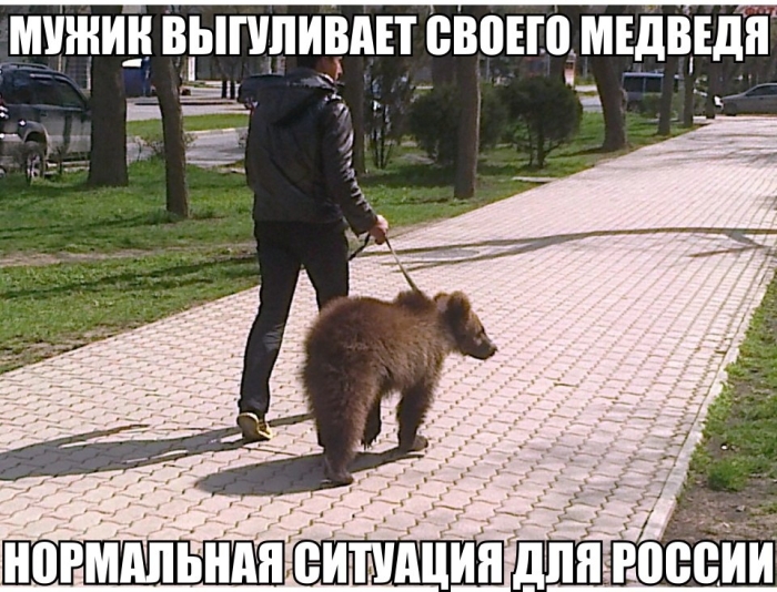 ПОДБОРКА ФОТОПРИКОЛОВ