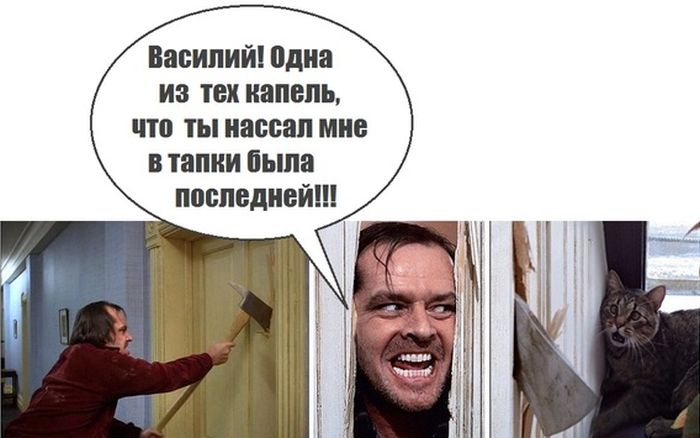 ПОДБОРКА ФОТОПРИКОЛОВ