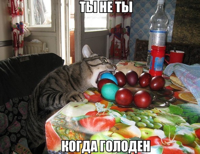 Позитивная фотоподборка