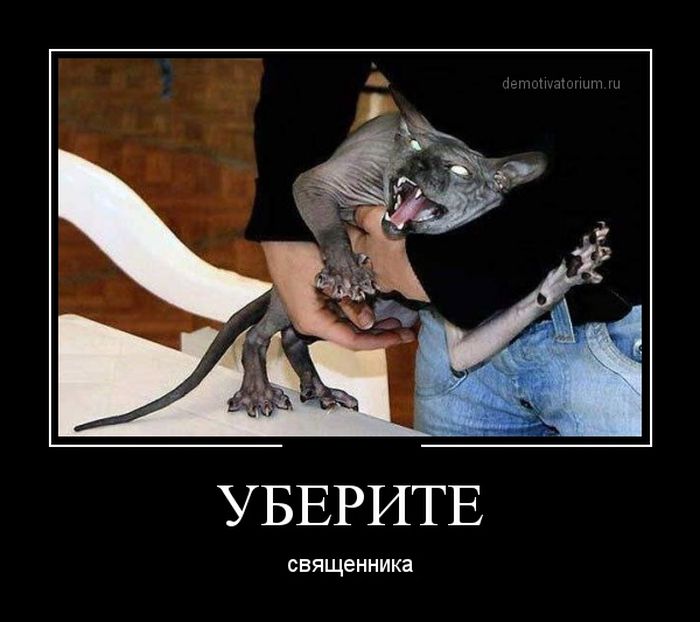 ПОДБОРКА ПРИКОЛЬНЫХ ДЕМОТИВАТОРОВ