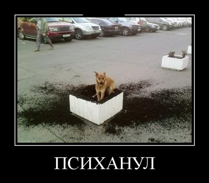 ПОДБОРКА ПРИКОЛЬНЫХ ДЕМОТИВАТОРОВ